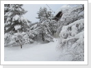 Klicken Sie auf das Bild, um es zu vergrößern
