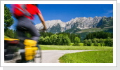 Klicken Sie auf das Bild, um es zu vergrößern